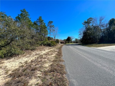 Beautiful Estate sized lot (.28) in Sugarmill Woods, Cypress on Sugarmill Woods Golf and Country Club in Florida - for sale on GolfHomes.com, golf home, golf lot