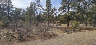 Kevin Blue, Best of Pagosa Springs, C: , kevin,  : This lot is on Pagosa Springs Golf Club in Colorado - for sale on GolfHomes.com, golf home, golf lot