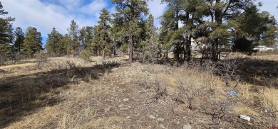 Kevin Blue, Best of Pagosa Springs, C: , kevin,  : This lot is on Pagosa Springs Golf Club in Colorado - for sale on GolfHomes.com, golf home, golf lot