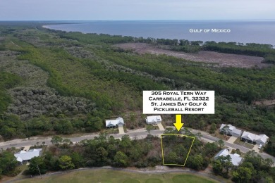 Prime vacant lot in St. James Golf & Pickleball Resort! Discover on St. James Bay in Florida - for sale on GolfHomes.com, golf home, golf lot