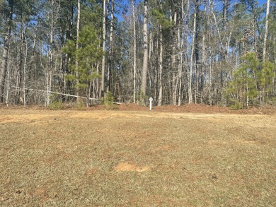 If you're looking for a homesite in a premier Golf and on Mount Vintage Plantation and Golf Club  in South Carolina - for sale on GolfHomes.com, golf home, golf lot