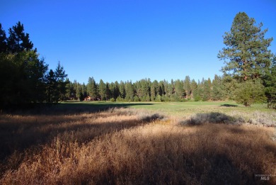 Discover serene living on this stunning, level lot nestled along on Meadowcreek Golf Resort in Idaho - for sale on GolfHomes.com, golf home, golf lot