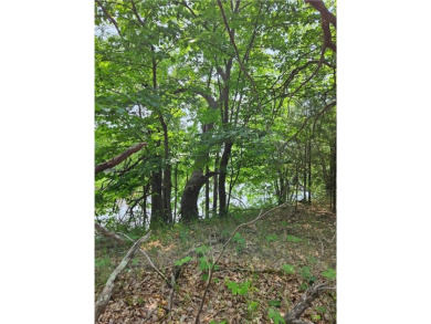 The Crow Wing River is known for its clear water & one of the on The Vintage at Staples in Minnesota - for sale on GolfHomes.com, golf home, golf lot