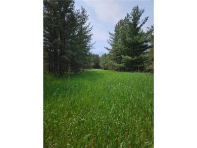 The Crow Wing River is known for its clear water & one of the on The Vintage at Staples in Minnesota - for sale on GolfHomes.com, golf home, golf lot