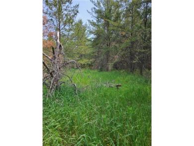 The Crow Wing River is known for its clear water & one of the on The Vintage at Staples in Minnesota - for sale on GolfHomes.com, golf home, golf lot