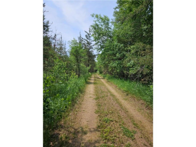 The Crow Wing River is known for its clear water & one of the on The Vintage at Staples in Minnesota - for sale on GolfHomes.com, golf home, golf lot