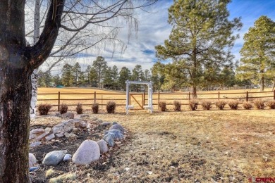 Mike Heraty, ENGEL  VOLKERS Pagosa Springs, C: , Mike,  : Over on Pagosa Springs Golf Club in Colorado - for sale on GolfHomes.com, golf home, golf lot