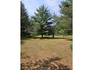 The Crow Wing River is known for its clear water & one of the on The Vintage at Staples in Minnesota - for sale on GolfHomes.com, golf home, golf lot