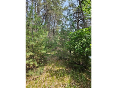 The Crow Wing River is known for its clear water & one of the on The Vintage at Staples in Minnesota - for sale on GolfHomes.com, golf home, golf lot