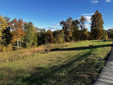 Two lots for the price of one and no HOA fees.  These prime lots on Beechfork Golf Club in Kentucky - for sale on GolfHomes.com, golf home, golf lot