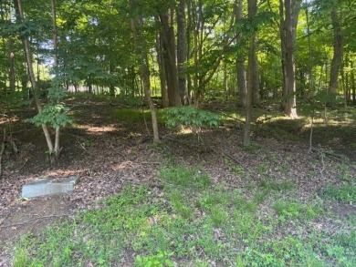 Beautiful wooded lot loacted close to the lake and the main on Apple Valley Golf Course in Ohio - for sale on GolfHomes.com, golf home, golf lot