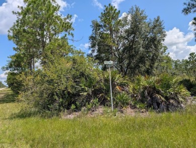 Come build your forever home on this one-half acre lot that on Indian Lake Estates Golf and Country Club in Florida - for sale on GolfHomes.com, golf home, golf lot
