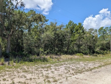 Come build your forever home on this one-half acre lot that on Indian Lake Estates Golf and Country Club in Florida - for sale on GolfHomes.com, golf home, golf lot