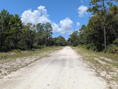 Come build your forever home on this one-half acre lot that on Indian Lake Estates Golf and Country Club in Florida - for sale on GolfHomes.com, golf home, golf lot
