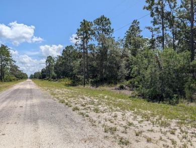 Come build your forever home on this one-half acre lot that on Indian Lake Estates Golf and Country Club in Florida - for sale on GolfHomes.com, golf home, golf lot