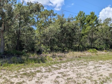Come build your forever home on this one-half acre lot that on Indian Lake Estates Golf and Country Club in Florida - for sale on GolfHomes.com, golf home, golf lot