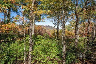 Discover easy mountain living at 242 Club Colony, a beautifully on Lake Toxaway Country Club in North Carolina - for sale on GolfHomes.com, golf home, golf lot