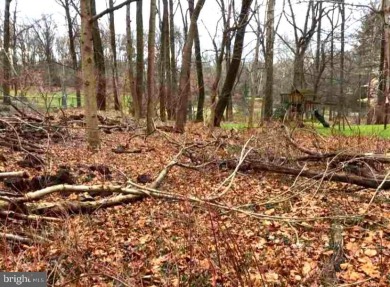 Opportunity to own and build on  the last undeveloped lot in the on Burning Tree Club in Maryland - for sale on GolfHomes.com, golf home, golf lot