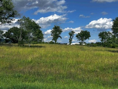 Prime Acreage with Scenic & Strategic Location Unlock endless on Galla Creek Golf Course in Arkansas - for sale on GolfHomes.com, golf home, golf lot