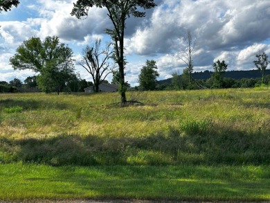 Prime Acreage with Scenic & Strategic Location Unlock endless on Galla Creek Golf Course in Arkansas - for sale on GolfHomes.com, golf home, golf lot