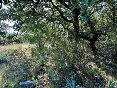 Build your dream home in Kings Point Cove at The Hideout, a on Hideout Golf Club and Resort  in Texas - for sale on GolfHomes.com, golf home, golf lot