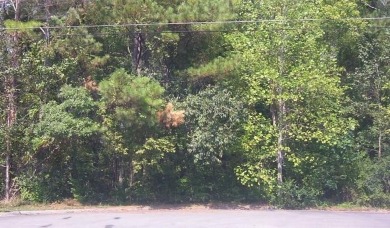 Incredible Deal on 4 3/4 acre building lots in restricted on Spring Lakes Golf Club in Georgia - for sale on GolfHomes.com, golf home, golf lot
