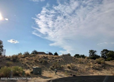 Great price for this San Juan Country Club building lot, close on San Juan Country Club in New Mexico - for sale on GolfHomes.com, golf home, golf lot