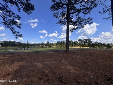 Presenting the Rivermist Floor Plan, an exquisite home featuring on Legacy Golf Links in North Carolina - for sale on GolfHomes.com, golf home, golf lot