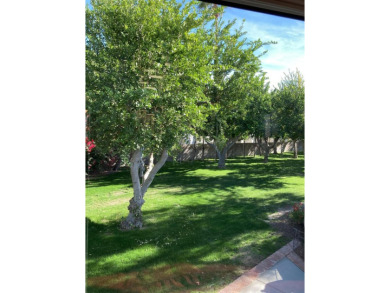 Orchard lot 291 with a 2008 Teton Experience Frontier.
Happy to on Outdoor Resorts/Palm Springs in California - for sale on GolfHomes.com, golf home, golf lot