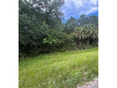 Here's your chance to own this just under 2 acres of land on on Wedgefield Golf Club in Florida - for sale on GolfHomes.com, golf home, golf lot
