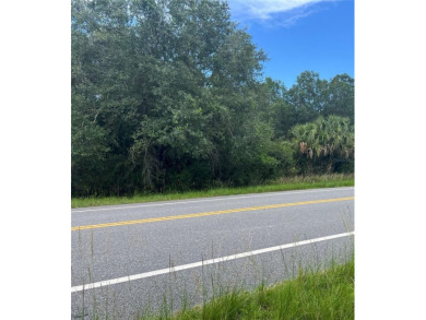 Here's your chance to own this just under 2 acres of land on on Wedgefield Golf Club in Florida - for sale on GolfHomes.com, golf home, golf lot