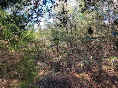 Here's your chance to own this just under 2 acres of land on on Wedgefield Golf Club in Florida - for sale on GolfHomes.com, golf home, golf lot