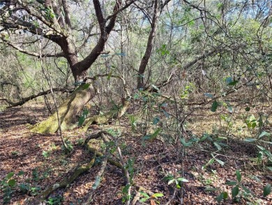Here's your chance to own this just under 2 acres of land on on Wedgefield Golf Club in Florida - for sale on GolfHomes.com, golf home, golf lot