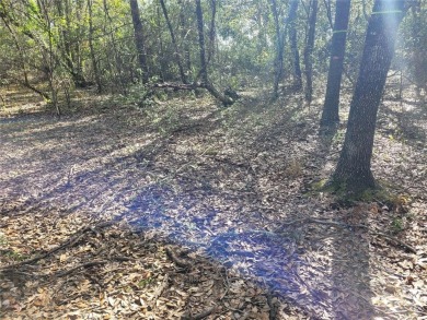 Here's your chance to own this just under 2 acres of land on on Wedgefield Golf Club in Florida - for sale on GolfHomes.com, golf home, golf lot