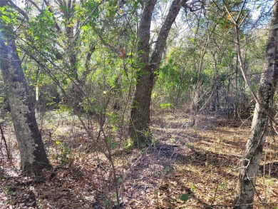 Here's your chance to own this just under 2 acres of land on on Wedgefield Golf Club in Florida - for sale on GolfHomes.com, golf home, golf lot
