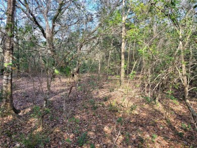 Here's your chance to own this just under 2 acres of land on on Wedgefield Golf Club in Florida - for sale on GolfHomes.com, golf home, golf lot