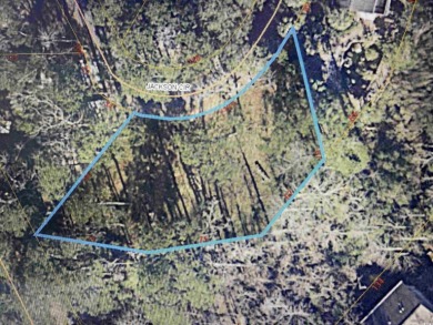 INCREDIBLE OPPORTUNITY TO OWN ONE OF THE LARGEST LOTS FOR SALE on Glen Dornoch Waterway Golf Links in South Carolina - for sale on GolfHomes.com, golf home, golf lot