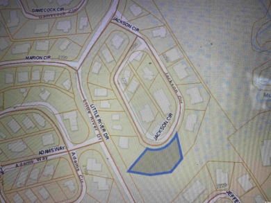 INCREDIBLE OPPORTUNITY TO OWN ONE OF THE LARGEST LOTS FOR SALE on Glen Dornoch Waterway Golf Links in South Carolina - for sale on GolfHomes.com, golf home, golf lot