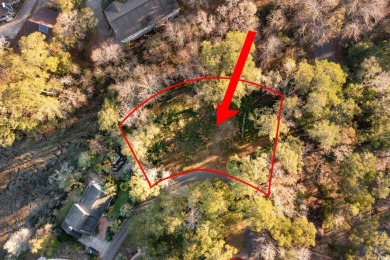 INCREDIBLE OPPORTUNITY TO OWN ONE OF THE LARGEST LOTS FOR SALE on Glen Dornoch Waterway Golf Links in South Carolina - for sale on GolfHomes.com, golf home, golf lot