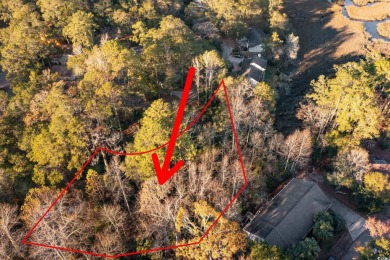 INCREDIBLE OPPORTUNITY TO OWN ONE OF THE LARGEST LOTS FOR SALE on Glen Dornoch Waterway Golf Links in South Carolina - for sale on GolfHomes.com, golf home, golf lot
