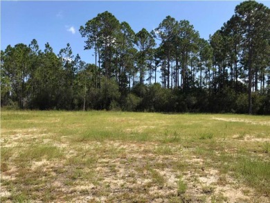 Level, cleared lot perfect for your beach retreat or full time on  in Florida - for sale on GolfHomes.com, golf home, golf lot