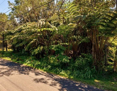 Beautiful vacant lot in Ohia Estates. Covered with lush native on Volcano Golf and Country Club in Hawaii - for sale on GolfHomes.com, golf home, golf lot