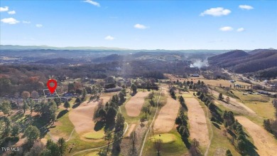 Avid Golfer in the family?..  Welcome Home to this beautifully on  in Tennessee - for sale on GolfHomes.com, golf home, golf lot