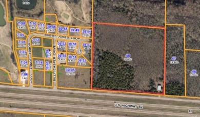 Rare opportunity for potential Commercial/ Subdivision! This 20 on Elm Lake Golf Course in Mississippi - for sale on GolfHomes.com, golf home, golf lot
