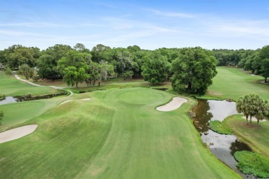 Welcome to The Links! Where luxury and style blends together in on Haile Plantation Golf and Country Club in Florida - for sale on GolfHomes.com, golf home, golf lot
