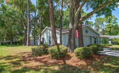 An opportunity beckons within the geographically enviable- Less on Lansbrook Golf Club in Florida - for sale on GolfHomes.com, golf home, golf lot