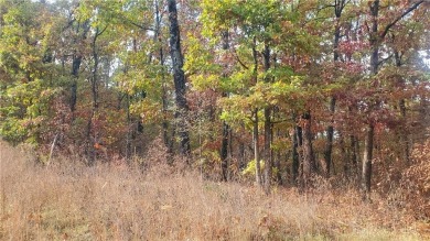 Your chance to build the perfect home in Bella Vista, Northwest on Bella Vista - Metfield Golf Complex and Country Club in Arkansas - for sale on GolfHomes.com, golf home, golf lot