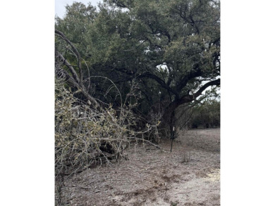 Hill Country & Lake Living, Perfect Opportunity to Build Your on Lago Vista Golf Club in Texas - for sale on GolfHomes.com, golf home, golf lot