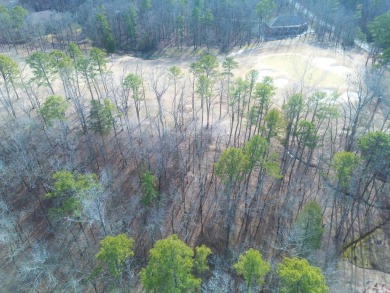 This is a great building lot on the Second fairway on Diamante' on Diamante Golf and Country Club in Arkansas - for sale on GolfHomes.com, golf home, golf lot