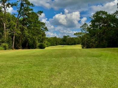 Dogwood Lakes is a well established community with No...HOA! on Dogwood Lakes Golf Club in Florida - for sale on GolfHomes.com, golf home, golf lot